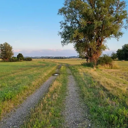 Piaski Rogowa