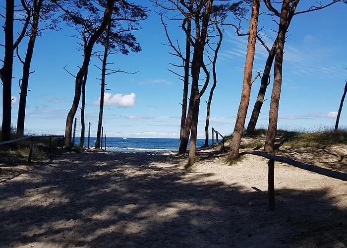 Piaski Rogowa Rogowo (Gryfice)